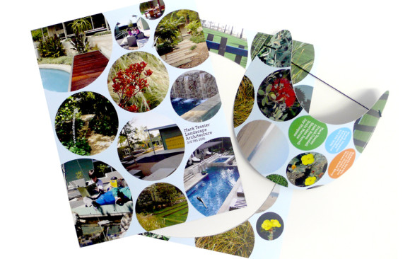 MTLA Announcement / Visor