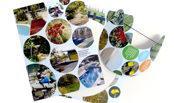 MTLA Announcement / Visor